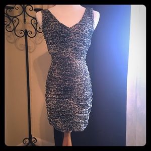 Cache' Dress- Sexy Shades of Gray Animal Print XS