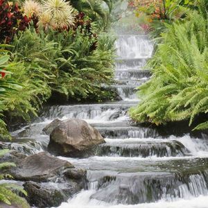 Meet your Posher, Martha