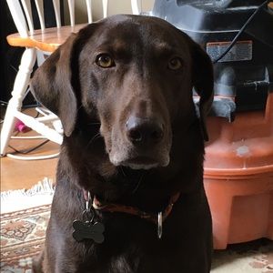 Meet your Posher, Mary