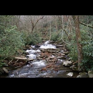 Meet your Posher, Sandy