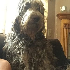 Meet your Posher, Madeline