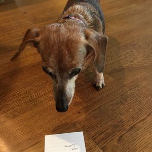 Meet your Posher, Carol