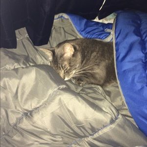 Meet your Posher, Grace