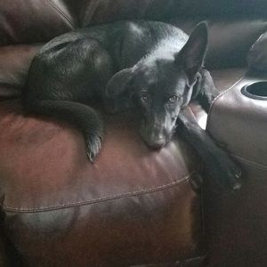 Meet your Posher, Kayla