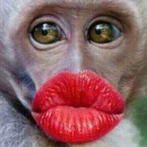 Meet your Posher, Monica