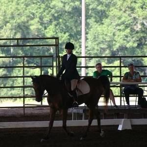 Meet your Posher, Maria