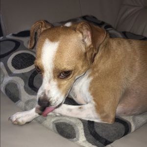 Meet your Posher, Chloe