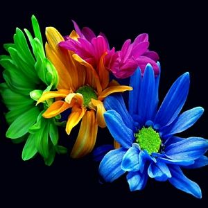 Meet your Posher, Vicki