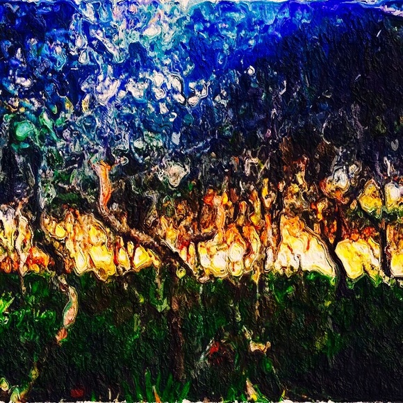 Meet your Posher, Lisa - Picture 2 of 7