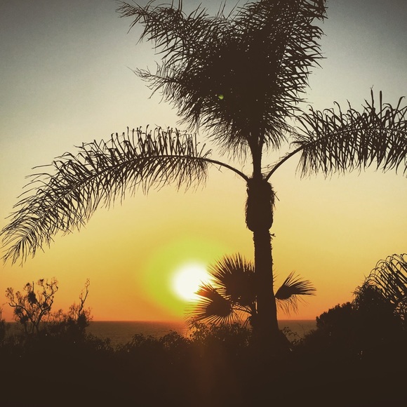 Meet your Posher, Lisa - Picture 6 of 7