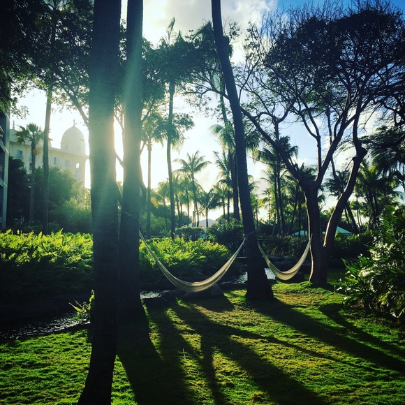 Meet your Posher, Lisa - Picture 7 of 7