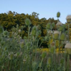 Meet your Posher, Joan