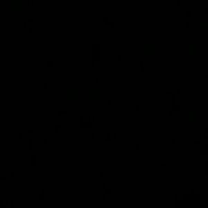 Meet your Posher, Rosa