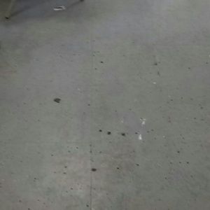 Meet your Posher, Tesla