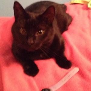 Meet your Posher, Skylar