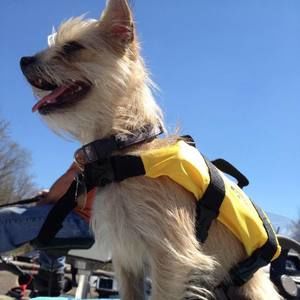 Meet your Posher, Bev