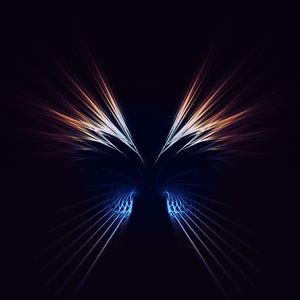 Meet your Posher, Kitty