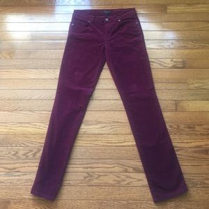 Tommy Hilfiger Pants