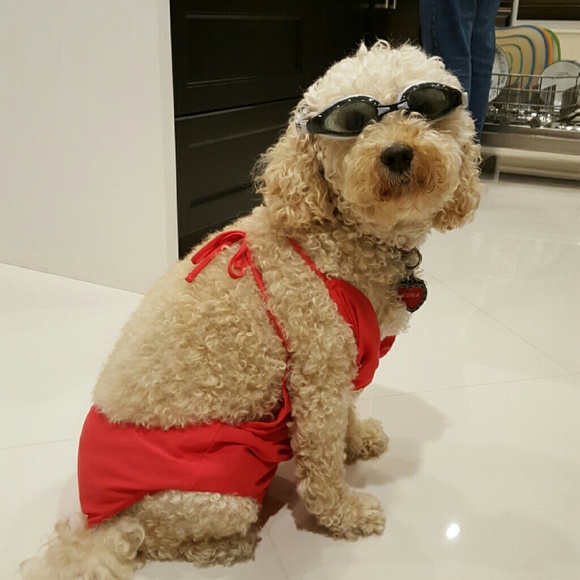 Meet your Posher, Maria - Picture 3 of 3