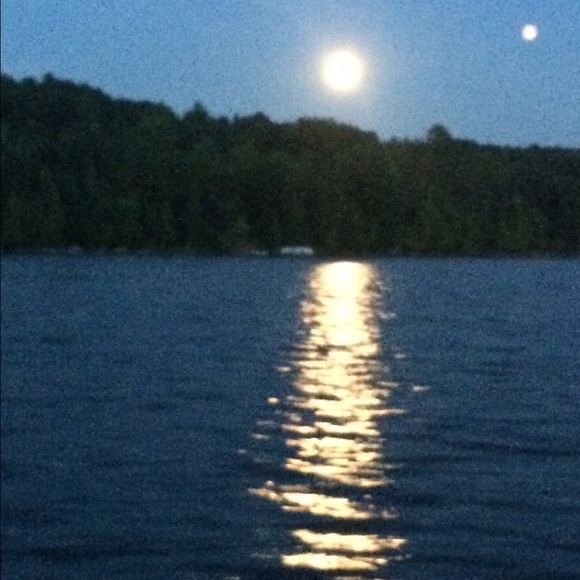 Meet your Posher, Amy - Picture 1 of 1