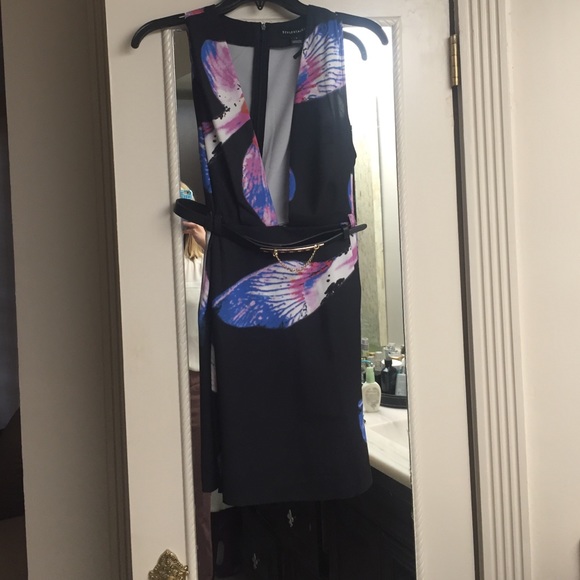 Stylestalker dress with belt that came with it.