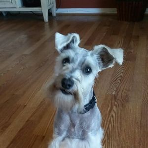 Meet your Posher, Tracie