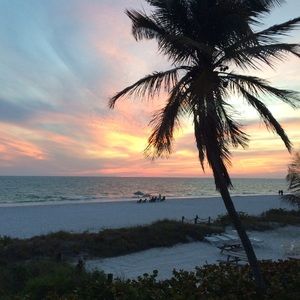 Meet your Posher, Lynette