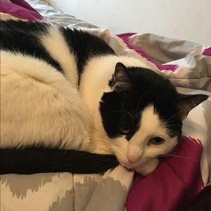 Meet your Posher, Hailey