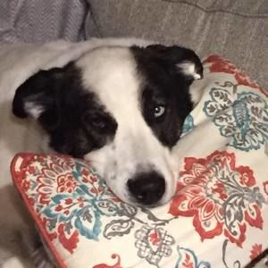 Meet your Posher, Ann