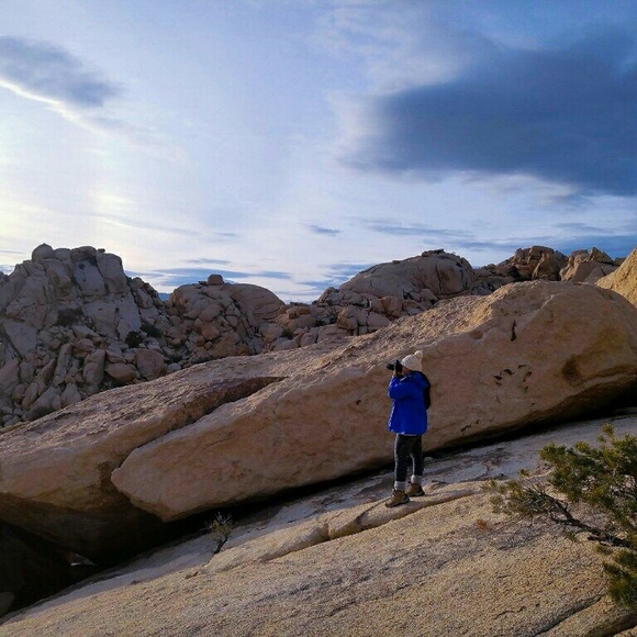 Meet your Posher, Daisy - Picture 3 of 3