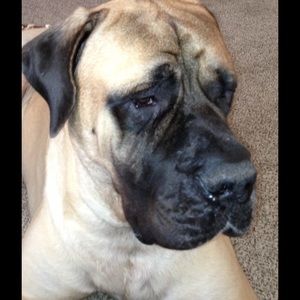 Meet your Posher, Sandi