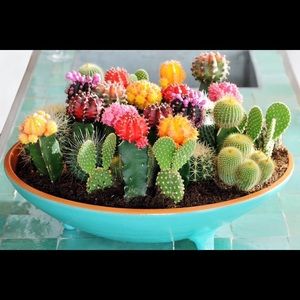 Meet your Posher, Zoe