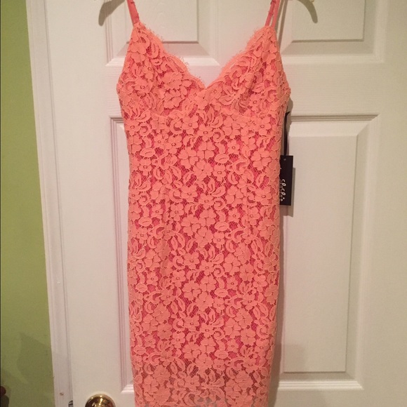 Picture of Perfection Coral Pink Lace Dress