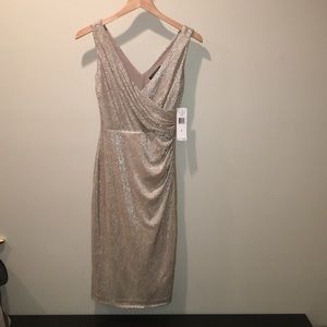 NWT Lauren Ralph Lauren Dress