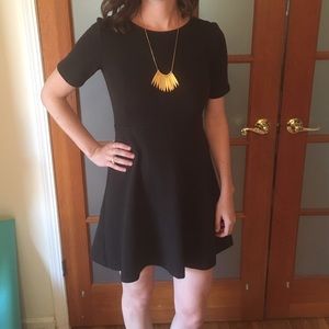 Loft LBD with back zipper