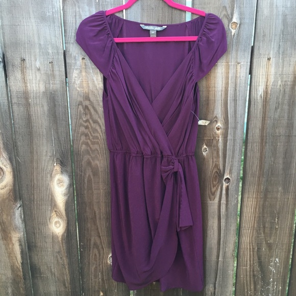 NEW WITH TAGS Silk wrap dress. Gorgeous!