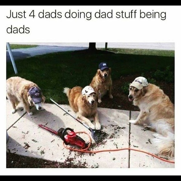 ✨Hello Friends!!✨ - Picture 2 of 3