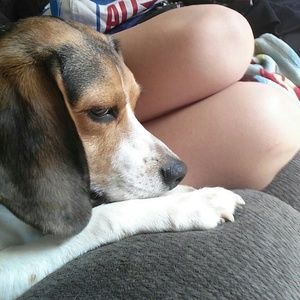 Meet your Posher, Makenna