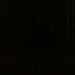 Meet your Posher, Tyra