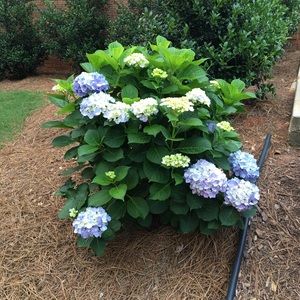 Meet your Posher, Tamara