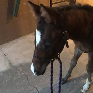 Meet your Posher, Danielle s