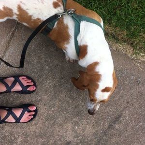 Meet your Posher, Olivia