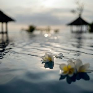 Meet your Posher, Isela