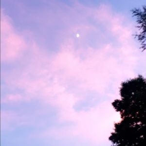 Meet your Posher, Jacky