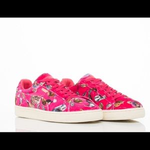 RARE PUMAS VELVET PINK