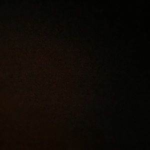 Meet your Posher, Dianna