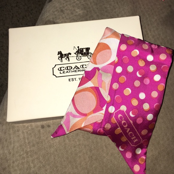 Coach ponytail scarf