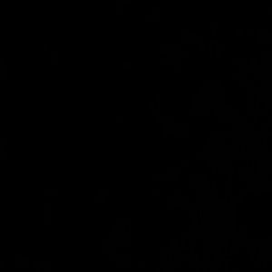 Meet your Posher, Ariel