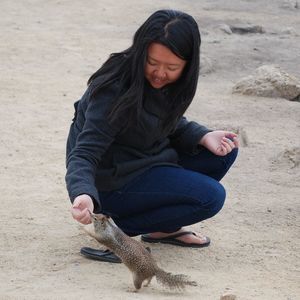 Meet your Posher, Cissy