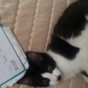 Meet your Posher, Zoila e